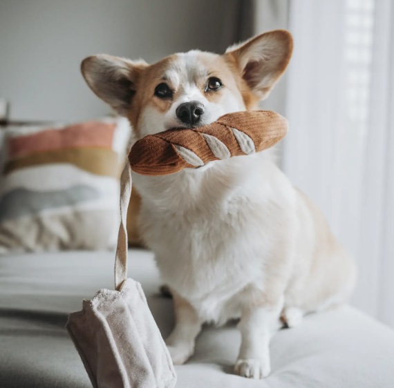 MINI-BAGUETTE / JOUET DE FOUILLE