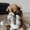 JOUET POUR CHIEN NOU SHERPA | Squeakers//Enrichment