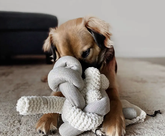 JOUET POUR CHIEN NOU SHERPA | Squeakers//Enrichment