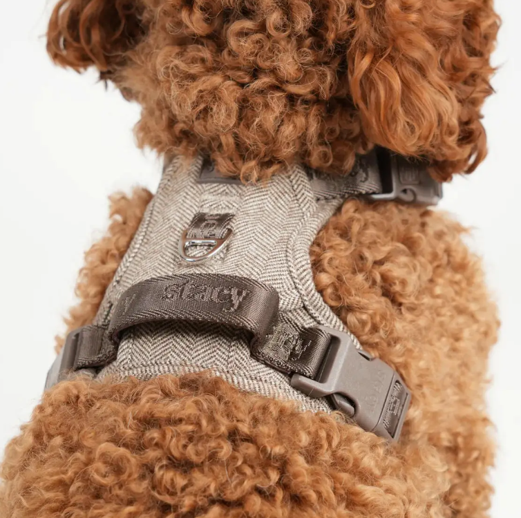 Harnais pour chien Elma  ( 2 coloris )