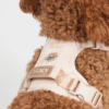 Harnais pour chien Elma  ( 2 coloris )
