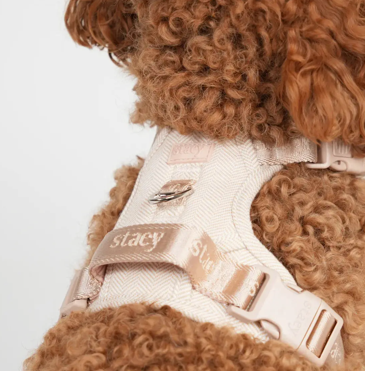 Harnais pour chien Elma  ( 2 coloris )