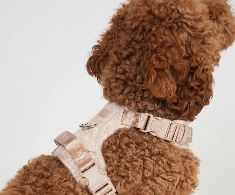 Harnais pour chien Elma  ( 2 coloris )