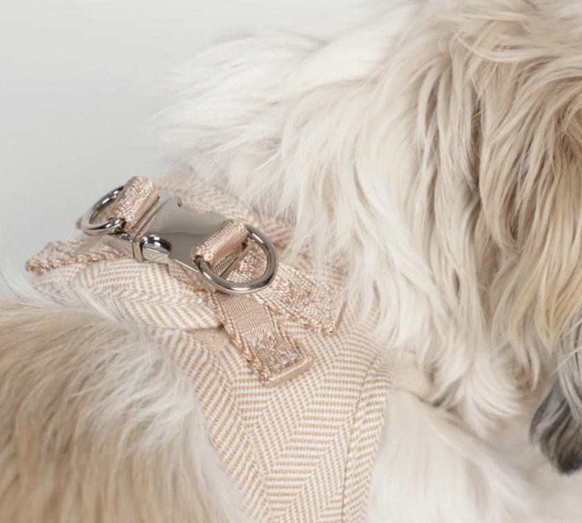 Harnais Tweed Cream Pink