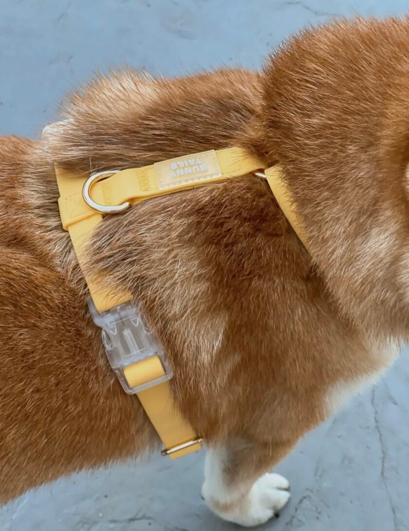 Harnais Cloud Lite ( 7 coloris ) waterproof sunny tails