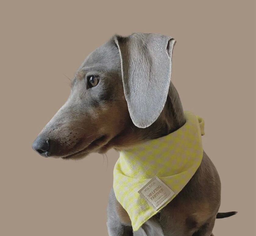 Bandana 100% Lin - 3 motifs