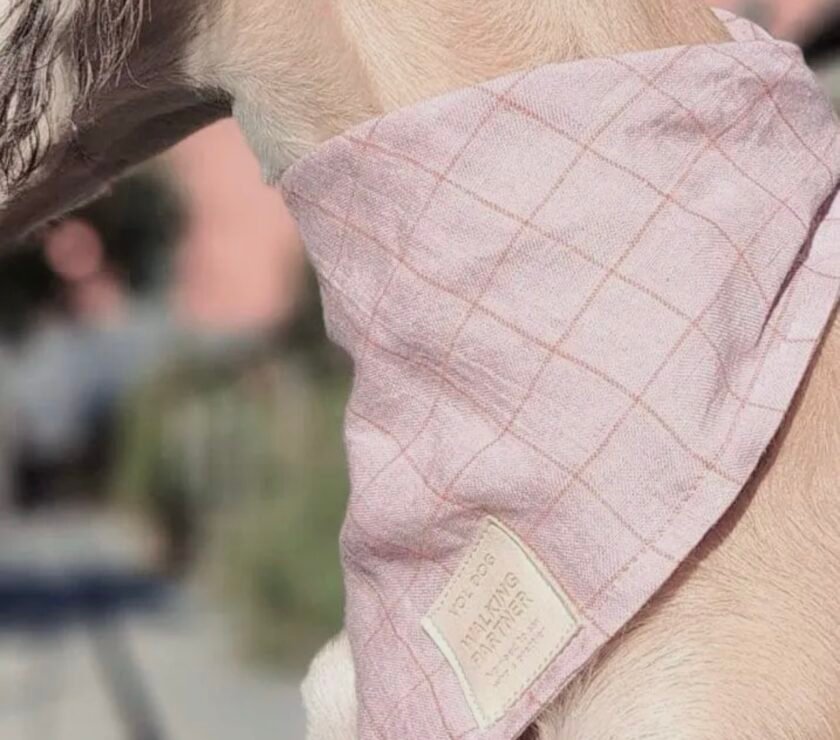 Bandana 100% Lin - 3 motifs