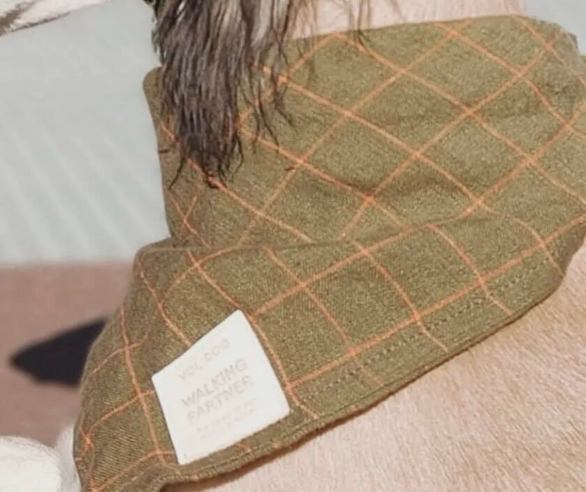 Bandana 100% Lin - 3 motifs
