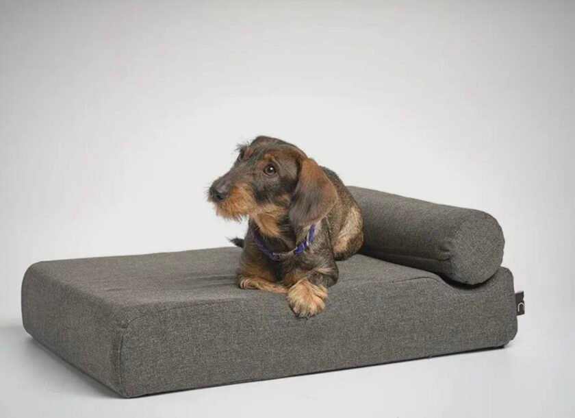 Le Bed sofa