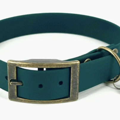 Collier en biothane emeraude