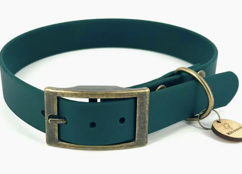 Collier en biothane emeraude