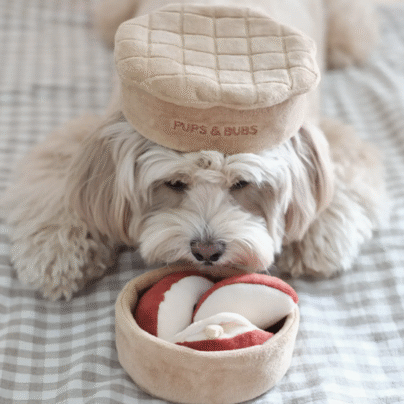 jouet de fouille apple pie