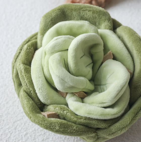 Le choux de fouille