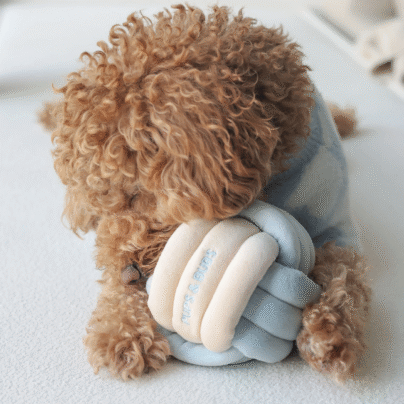 la snuffle ball