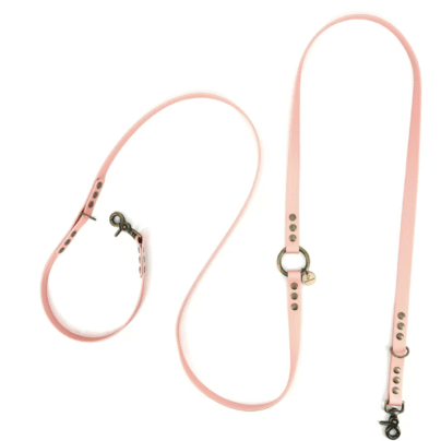 Laisse en Biothane pour chien - Rose Ancien