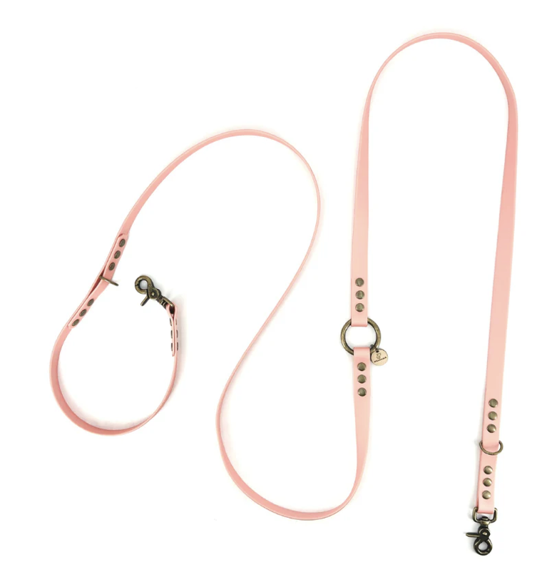 Laisse en Biothane pour chien - Rose Ancien