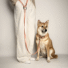 Laisse en Biothane pour chien - Rose Ancien