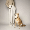 Laisse Multiposition Biothane pour Chien - Teinte kaki