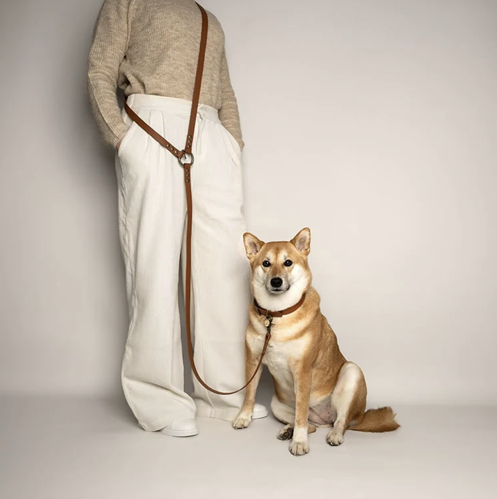Laisse pour Chien Biothane Multiposition - Modèle Montmartre