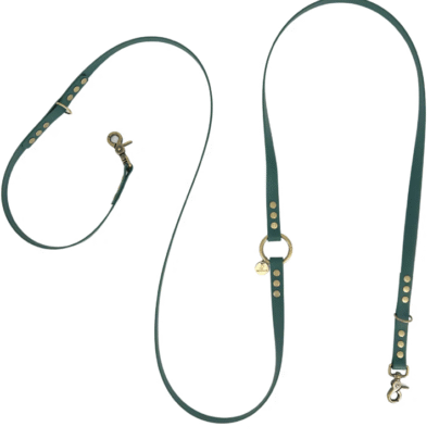 Laisse biothane emeraude