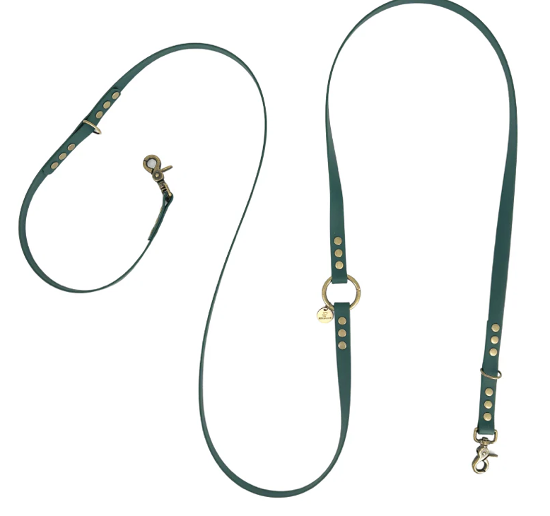 Laisse biothane emeraude