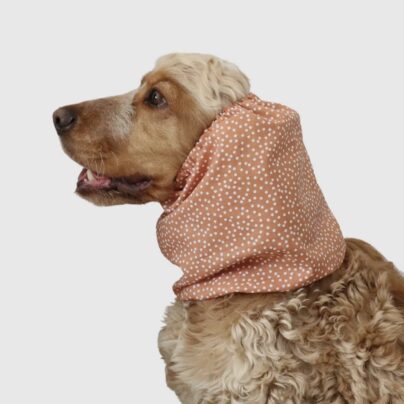Snood dot orange