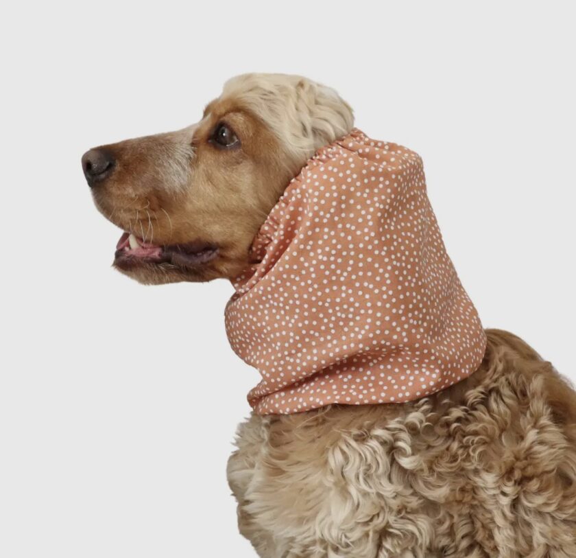 Snood dot orange