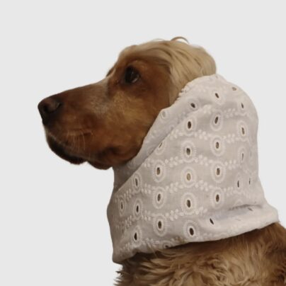 Snood ajouré créme