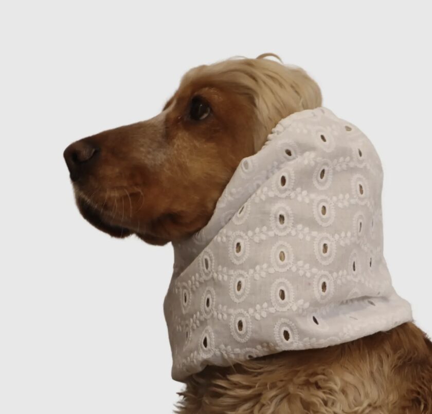 Snood ajouré créme