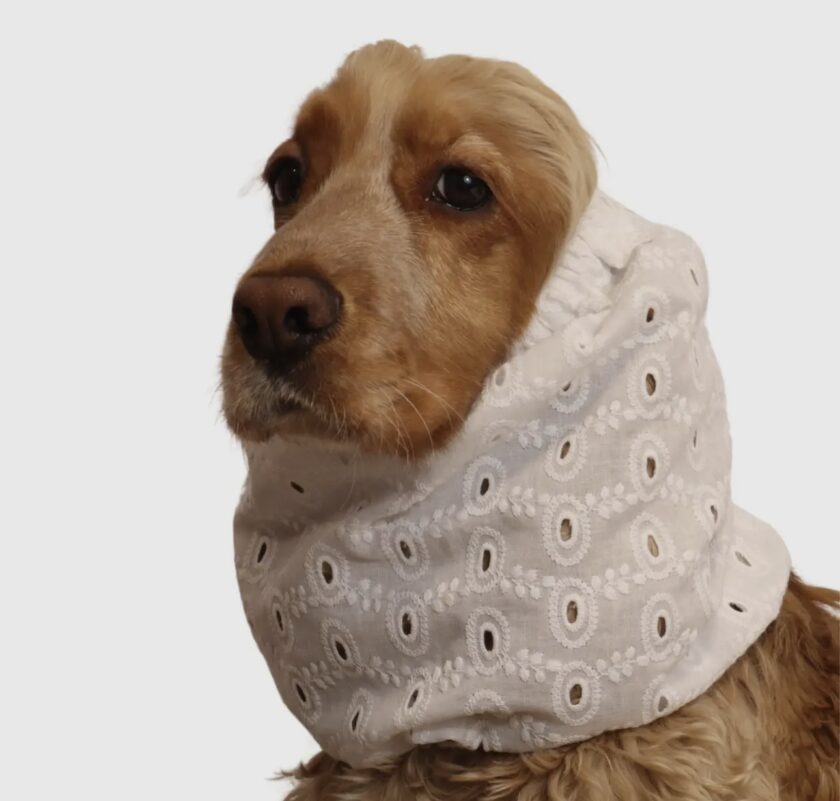 Snood ajouré créme
