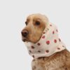 Snood strawberry