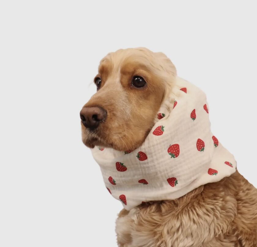 Snood strawberry