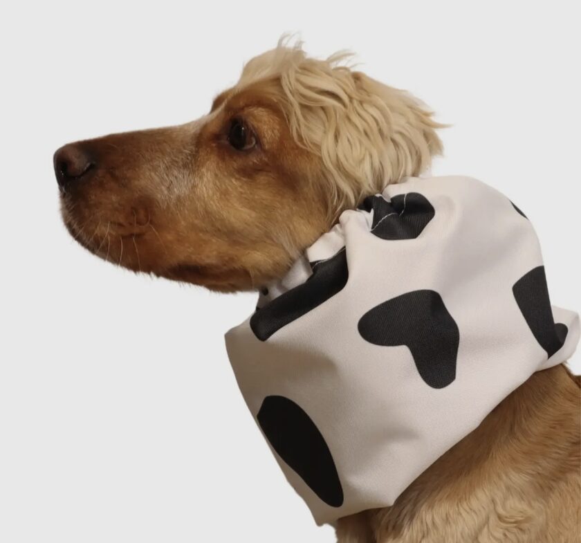 Snood polka dot