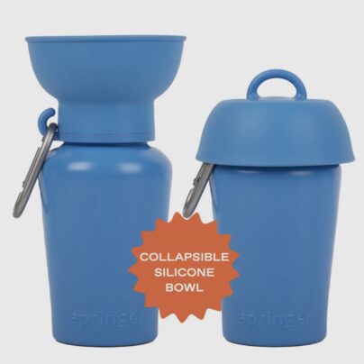 Gourde springer Strong Blue