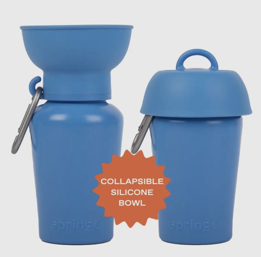 Gourde springer Strong Blue