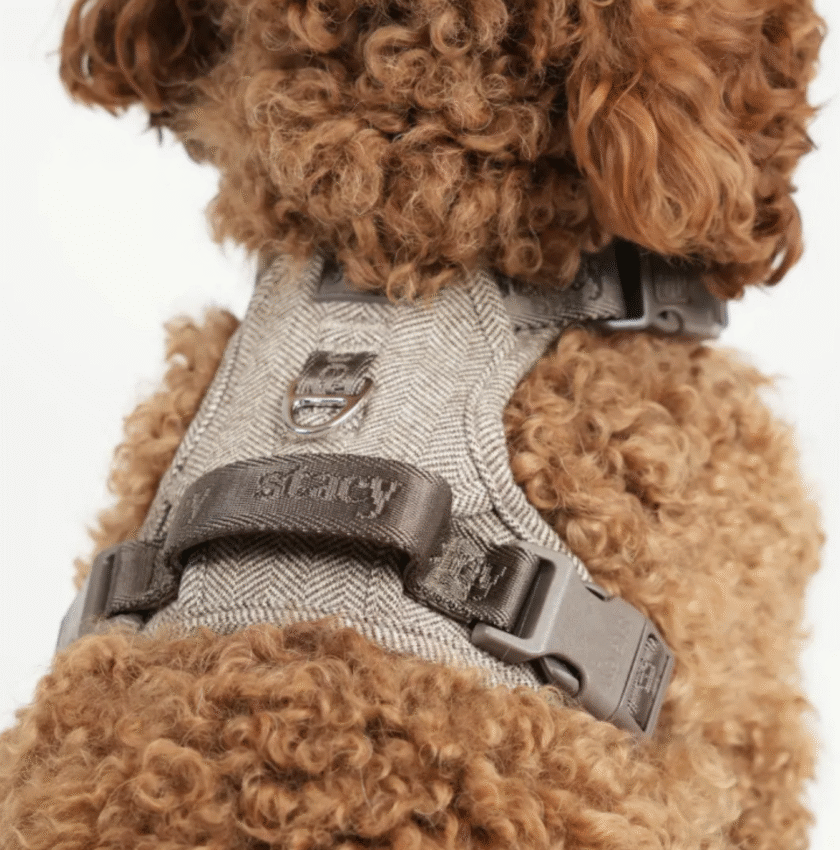 Harnais pour chien Elma - Moka