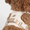 Harnais pour chien Elma - Rose