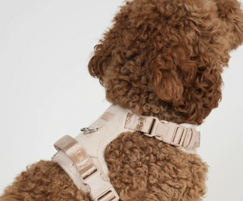 Harnais pour chien Elma - Rose