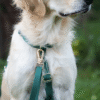 Harnais Cloud Lite waterproof sunny tails - Emeraude