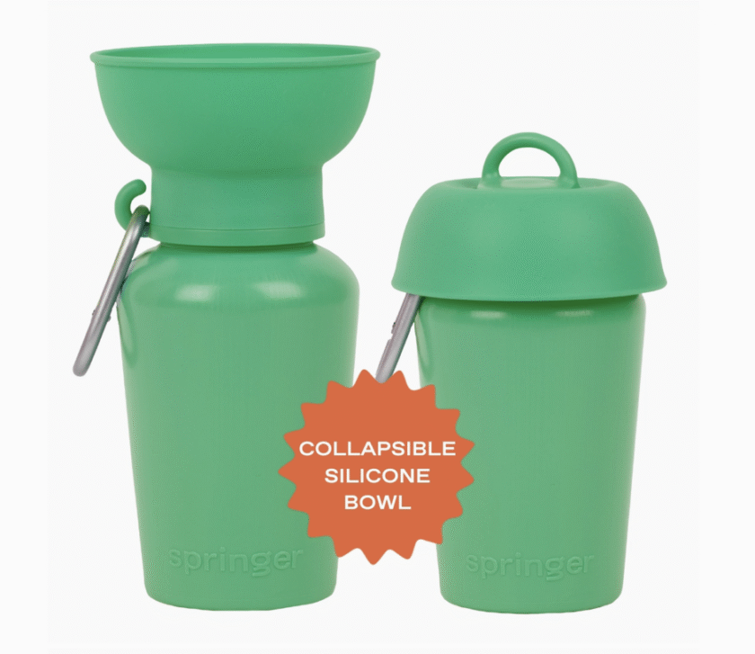 Gourde springer Green