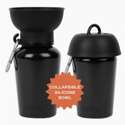 Gourde springer Black
