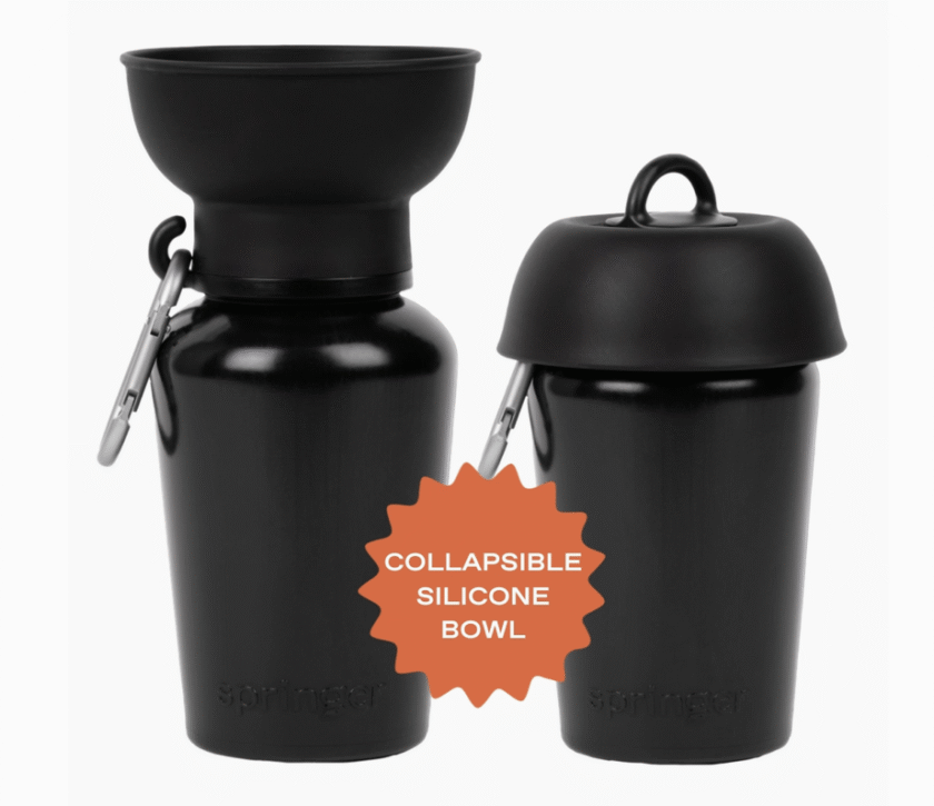 Gourde springer Black