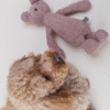 Teddy en bouclette Rose