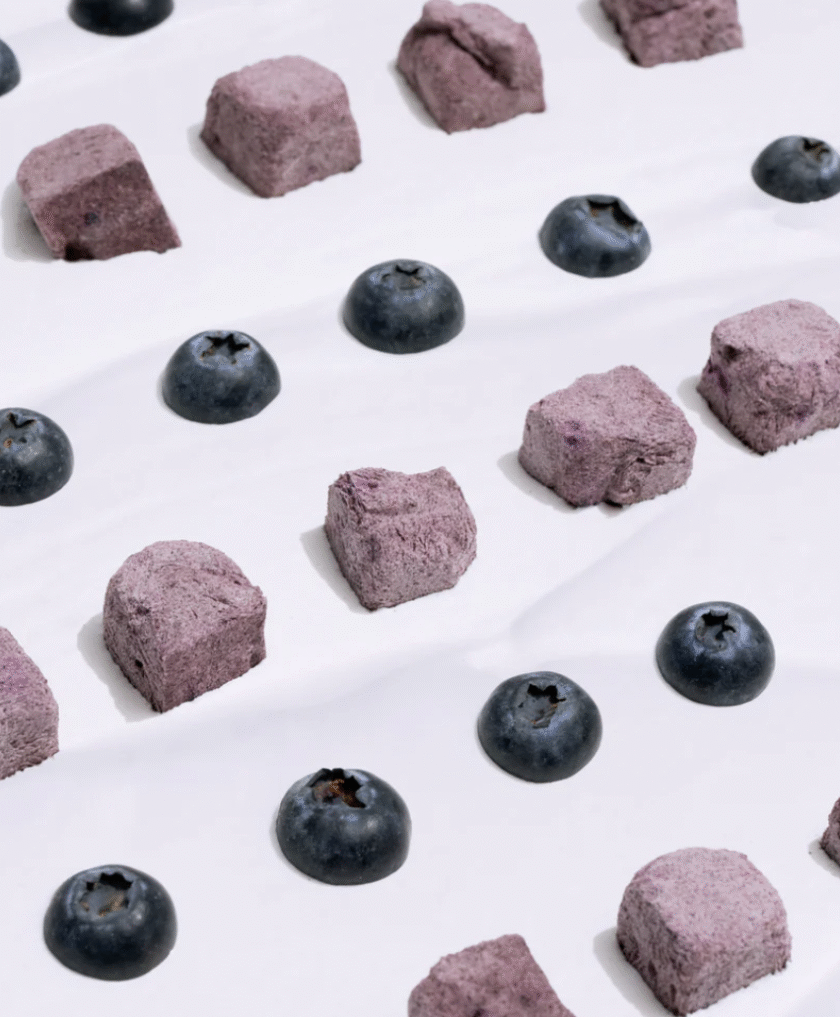 Friandise probiotiques et fruits déshydratés Myrtilles