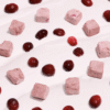Friandise probiotiques et fruits déshydratés Cranberry
