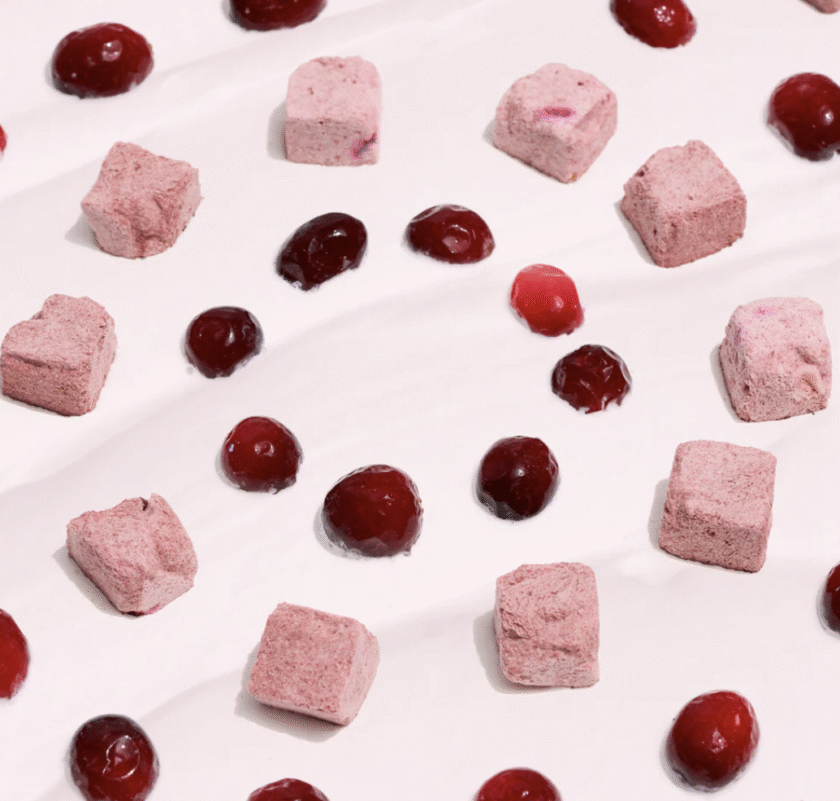 Friandise probiotiques et fruits déshydratés Cranberry