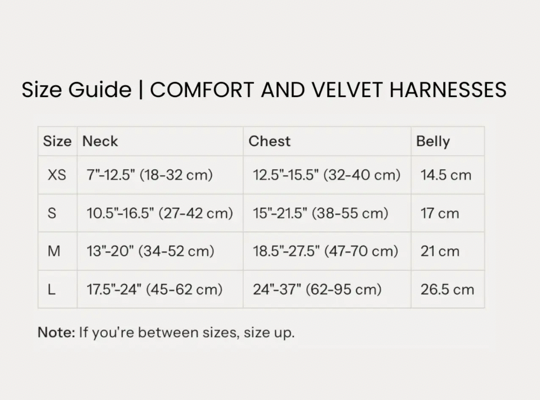 Harnais Velvet Bleu