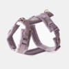 Harnais velvet Lila
