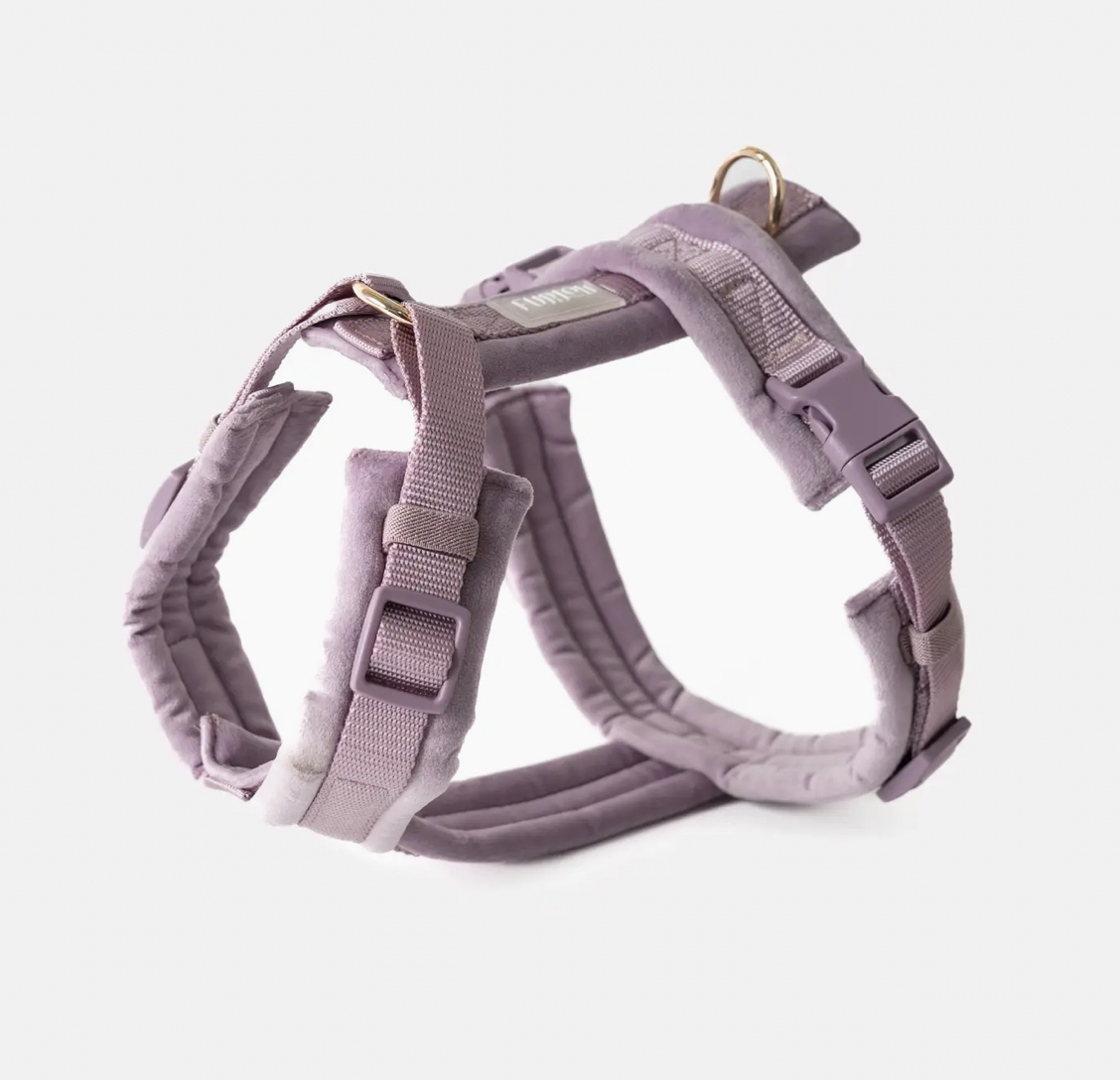 Harnais velvet Lila