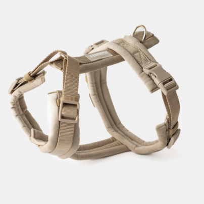 Harnais velvet Sand